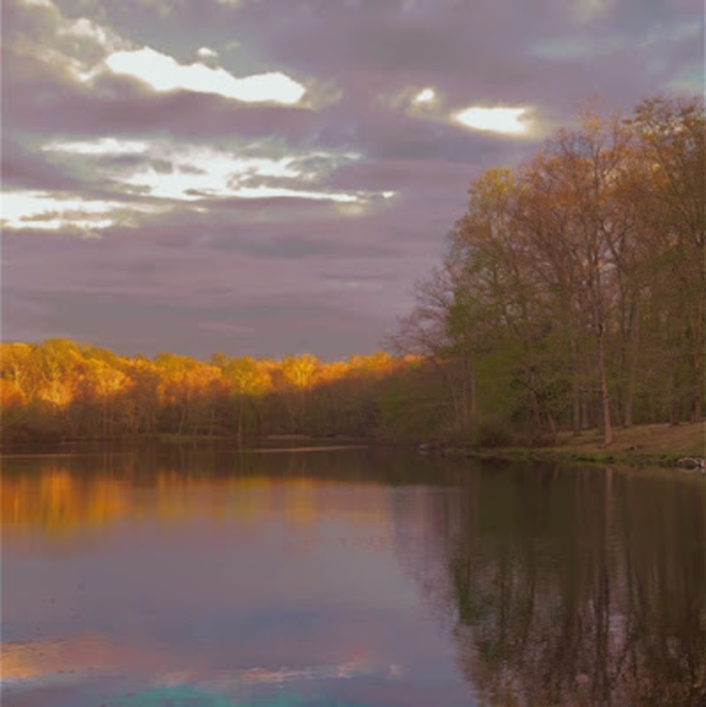 Meet your Posher, Lizzi